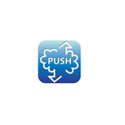 Push2Pocket icône