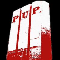 PUP mobile Portal Affiche