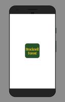 Bracknell Forest Cartaz
