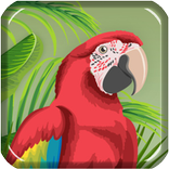 Free puffin browser reference