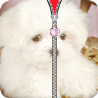 Puppy Zipper Lock Screen ícone