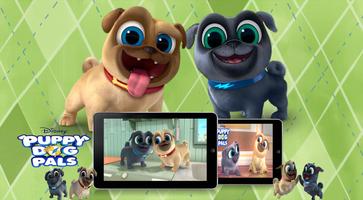 Pappy dog pals game 🐶🐶-poster