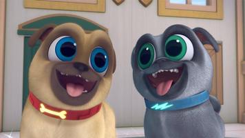 Puppy dog Pals : R & B постер