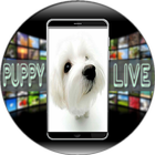 Puppy Live Wallpaper আইকন