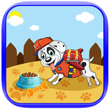 ”Super Paw Puppy Sky Patrol