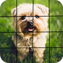 100 doors puppies APK