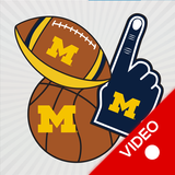 Michigan Wolverines Animated S