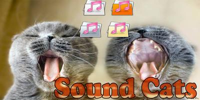 Sound Cats Prank capture d'écran 2
