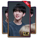 Hoshi Seventeen Wallpapers KPOP Fans HD APK