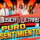 Puro Sentimiento Musica Cumbia Peruana 2018 आइकन