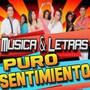 Puro Sentimiento Musica Cumbia Peruana 2018 APK