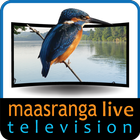 Maasranga TV ikona