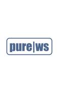 Pure Web Synergy Emulator постер
