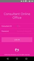 Consulant Online Office Affiche