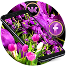 Lila Tulpe-Blumen-Thema APK