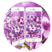 Purple Sakura Rain icon