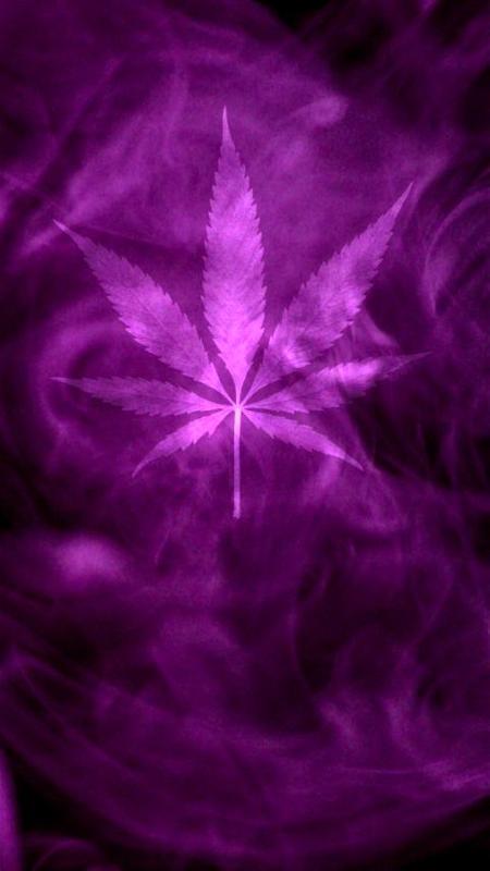 Marijuana Live Wallpaper - Purple Haze FREE poster