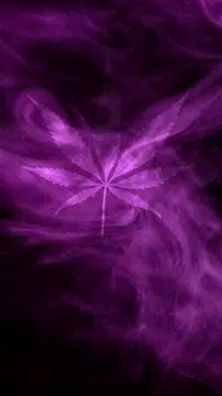 Marijuana Live Wallpaper Purple Haze Free Apk 8 0 Download For Android Download Marijuana Live Wallpaper Purple Haze Free Apk Latest Version Apkfab Com