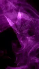 無料でmarijuana Live Wallpaper Purple Haze Free Apkアプリの最新版 Apk8 0をダウンロード Android用 Marijuana Live Wallpaper Purple Haze Free アプリダウンロード Apkfab Com Jp