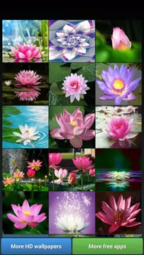 無料で蓮の花の壁紙 Apkアプリの最新版 Apk2 1 8をダウンロードー Android用 蓮の花の壁紙 Apk の最新バージョンをインストール Apkfab Com Jp