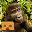 Virtual Gorilla (Cardboard VR)