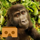Virtual Gorilla (Cardboard VR) APK