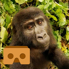 Virtual Gorilla (Cardboard VR) Zeichen