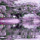 Purple River Live Wallpaper 圖標