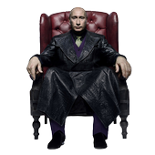 Putin&#39;s Yes or No Magic ball icon