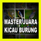 Kicau Burung Anis Merah Jawara biểu tượng