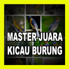 Kicau Burung Cucak Jenggot Hot simgesi