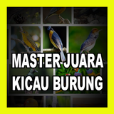 Kicau Burung Cucak Jenggot Hot simgesi