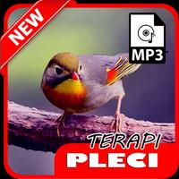 Terapi Pleci Macet Bunyi اسکرین شاٹ 3