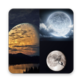 Moon Wallpaper