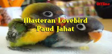 Master Lovebird Paud Jahat Offline