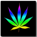 Multicolor Marijuana LWP APK