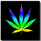 Multicolor Marijuana LWP アイコン