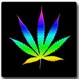 Multicolor Marijuana LWP icône
