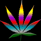 Multicolour Marijuana LWP icône