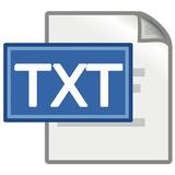 Text To Txt icône