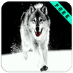 Wolf Puzzle Games