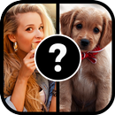 What’s The Picture APK