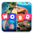4 Pics One Word APK