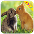 Crianças Quebra-cabeças-Animal APK
