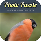 Puzzle Birds for Android 图标