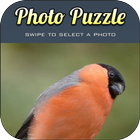 Puzzle Birds for Android آئیکن