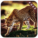 Cheetah Games APK