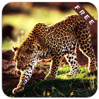 Cheetah Games icône