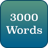 English - 3000 words