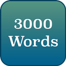 English - 3000 words APK
